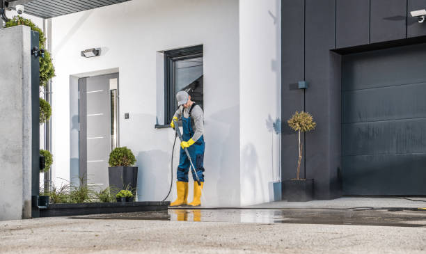 Best Sign and Awning Cleaning  in La Marque, TX